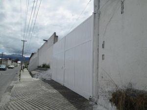 Bodega en Renta en San Miguel Zinacantepec Zinacantepec