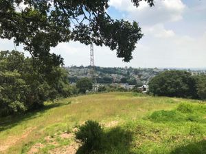 Terreno en Venta en El Trafico Nicolás Romero