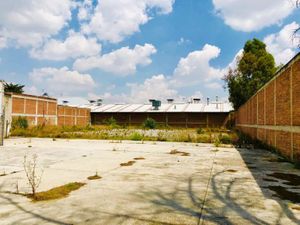 Terreno en Renta en San Lorenzo Tepaltitlán Centro Toluca