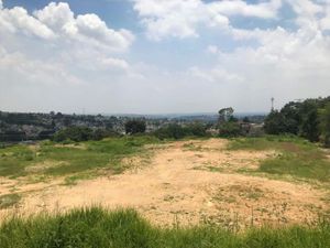 Terreno en Venta en El Trafico Nicolás Romero