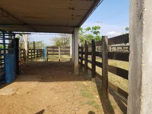 Finca/Rancho en Venta en Ojo de Agua Juan Rodríguez Clara