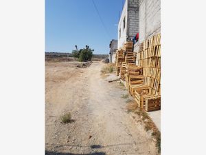 Terreno en Venta en Las Palomas Mineral de la Reforma