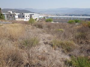 Terreno en Venta en Las Palomas Mineral de la Reforma