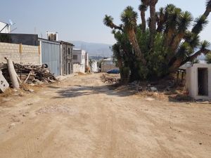 Terreno en Venta en Las Palomas Mineral de la Reforma