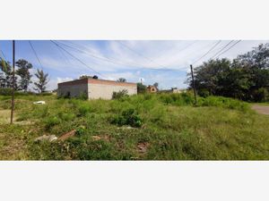 Terreno en Venta en Alameda Tlajomulco de Zúñiga