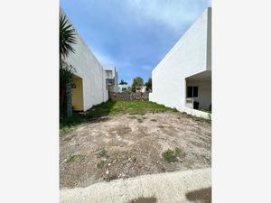 Terreno en Venta en Bosque Real Tlajomulco de Zúñiga