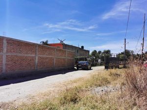 Terreno en Venta en Rancho el Zapote Tlajomulco de Zúñiga