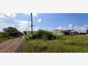 Terreno en Venta en Alameda Tlajomulco de Zúñiga