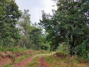 Terreno en Venta en Fracc Omeyokan Mazamitla