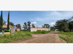 Terreno en Venta en Alameda Tlajomulco de Zúñiga