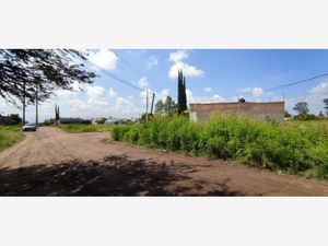 Terreno en Venta en Alameda Tlajomulco de Zúñiga