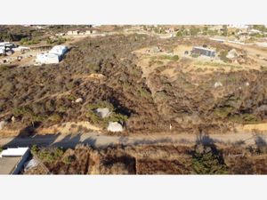 Terreno en Venta en Las Lomitas Ensenada