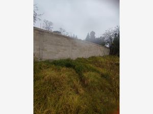 Terreno en Venta en Santa Maria Nativitas Calimaya