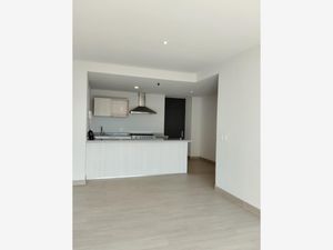 Departamento en Renta en Mercurio Querétaro