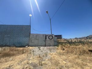 Terreno en Renta en Ojo de Agua (El Florido) Tijuana