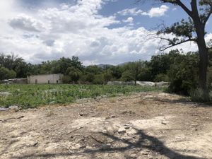 Terreno en Venta en Parras de la Fuente Centro Parras