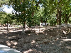 Terreno en Venta en Las Palmeras Parras