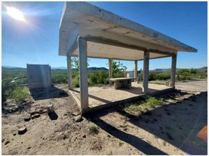 Finca/Rancho en Venta en Seis de Enero Parras