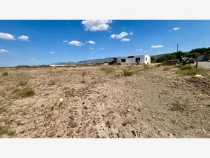 Terreno en Venta en Parras de la Fuente Centro Parras