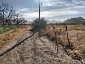 Terreno en Venta en Parras de la Fuente Centro Parras