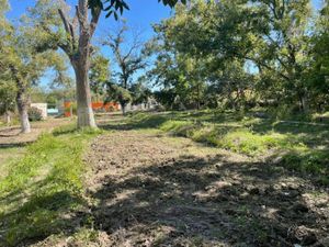 Terreno en Venta en Parras de la Fuente Centro Parras