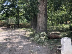 Terreno en Venta en Parras de la Fuente Centro Parras