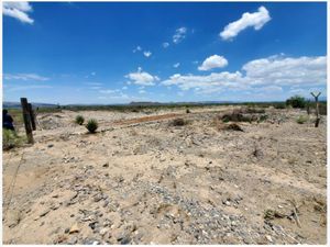 Terreno en Venta en Viesca Centro Viesca