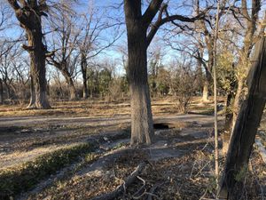 Terreno en Venta en Parras de la Fuente Centro Parras