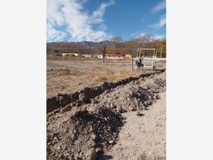 Terreno en Venta en Parras de la Fuente Centro Parras