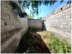 Terreno en Venta en Parras de la Fuente Centro Parras