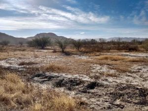 Terreno en Venta en Parras de la Fuente Centro Parras