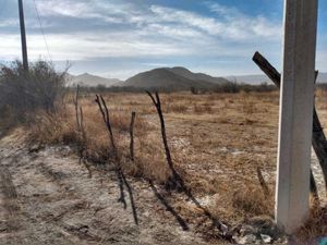 Terreno en Venta en Parras de la Fuente Centro Parras