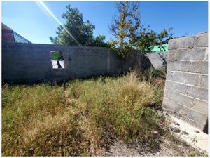 Terreno en Venta en Parras de la Fuente Centro Parras