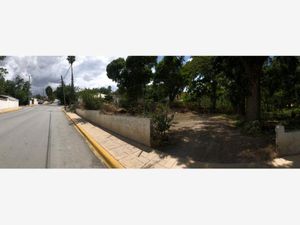 Terreno en Venta en Parras de la Fuente Centro Parras