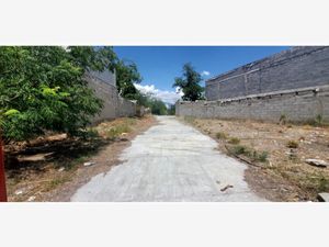 Terreno en Venta en Parras de la Fuente Centro Parras