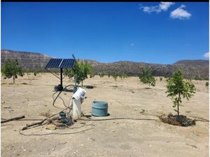 Terreno en Venta en Rogelio Montemayor Parras