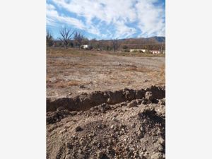 Terreno en Venta en Parras de la Fuente Centro Parras