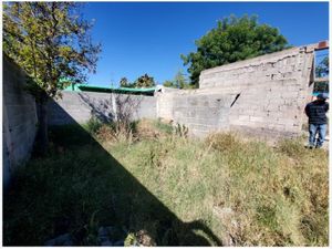 Terreno en Venta en Parras de la Fuente Centro Parras