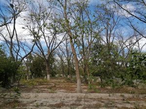 Terreno en Venta en Parras de la Fuente Centro Parras