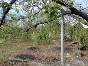 Terreno en Venta en Parras de la Fuente Centro Parras