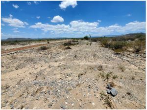 Terreno en Venta en Viesca Centro Viesca