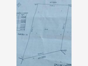 Terreno en Venta en Parras de la Fuente Centro Parras