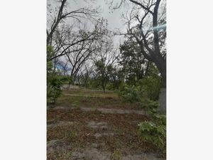 Terreno en Venta en Parras de la Fuente Centro Parras