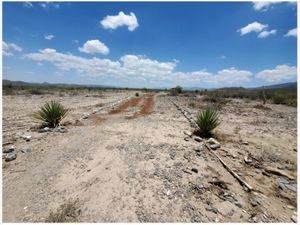 Terreno en Venta en Viesca Centro Viesca