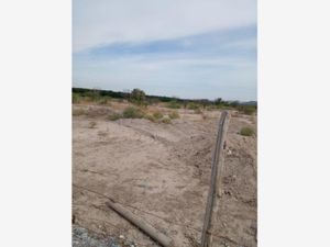 Terreno en Venta en Parras de la Fuente Centro Parras