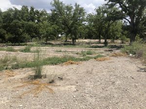 Terreno en Venta en Parras de la Fuente Centro Parras