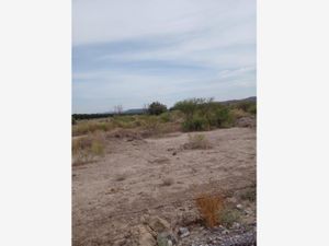 Terreno en Venta en Parras de la Fuente Centro Parras