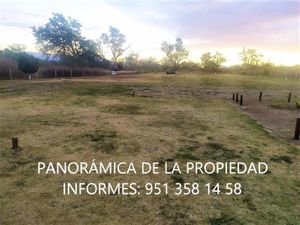 Terreno en Venta en Santo Tomas Jalieza Santo Tomás Jalieza