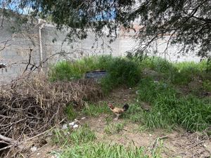 Terreno en Venta en Jardines de Azucenas Querétaro