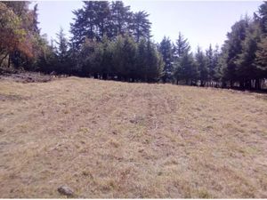 Terreno en Venta en huitzilac Huitzilac